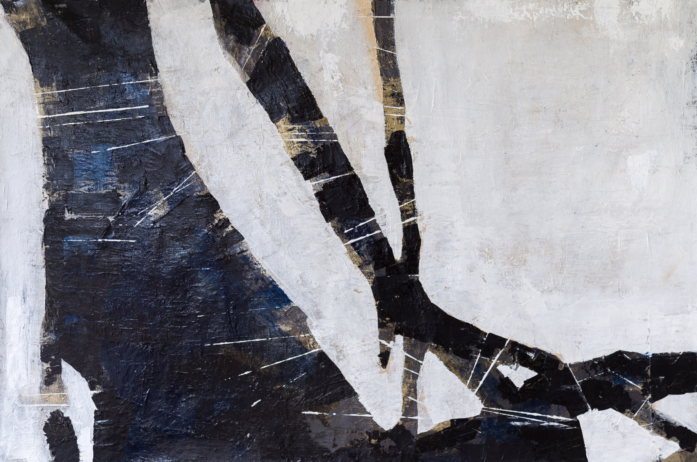 Kyoto, Lisa Macchiaroli 40